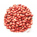 High Quality Fresh Red Peanut Kernal Hot Sale